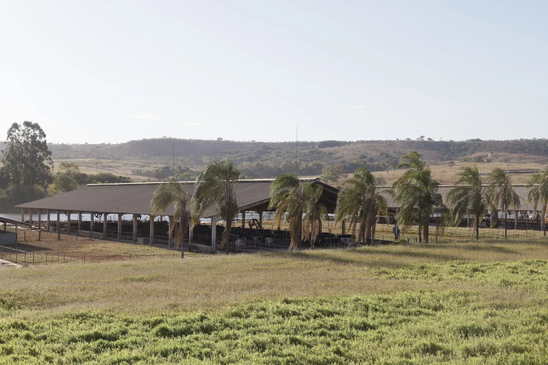 Galpão entre palmeiras, com o pasto na frente e os morros ao fundo, na Fazenda Palma
